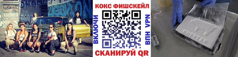 где купить наркотик  Черняховск  kraken вход  Cocaine FishScale 