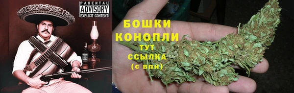 не бодяженный Магас