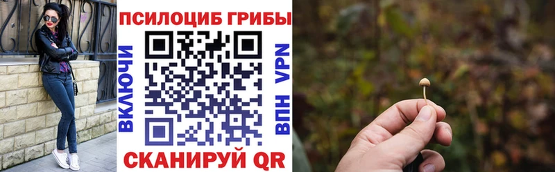 Галлюциногенные грибы Cubensis Черняховск