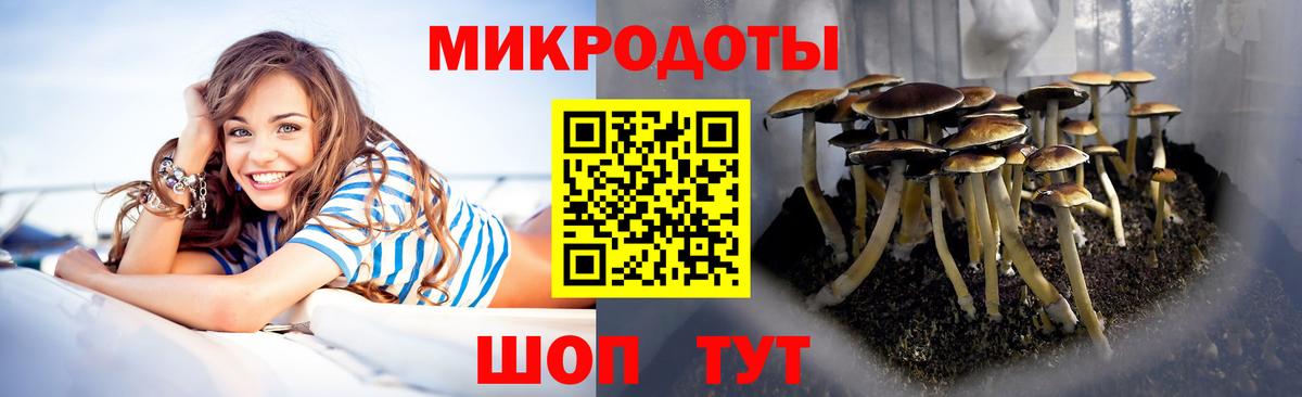 Псилоцибиновые грибы прущие грибы  Псилоцибиновые грибы GOLDEN TEACHER  Вход с VPN  Черняховск 